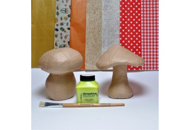 Mushroom Duo Kit,  Fungii Fun